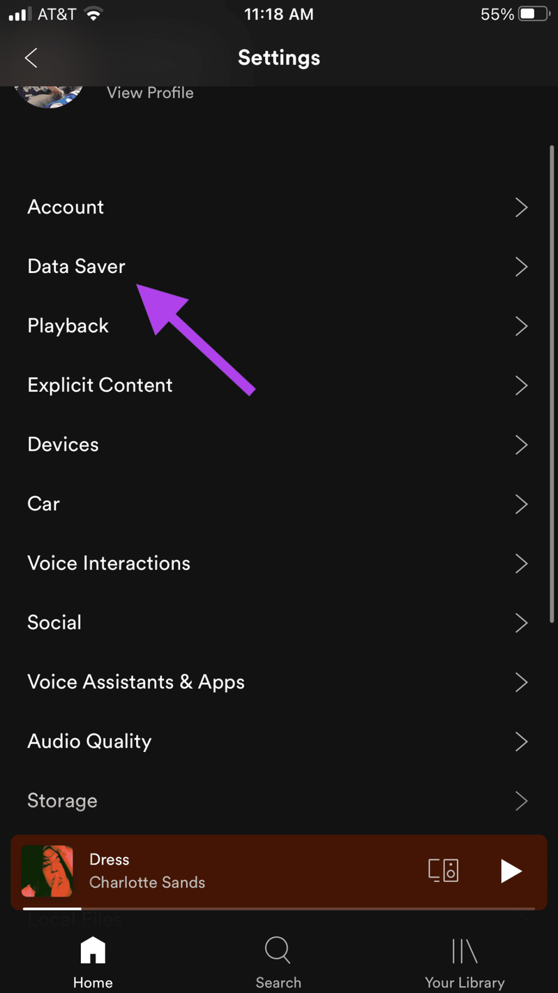 Spotify-Datensparer