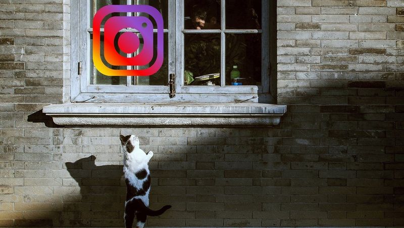 Was passiert, wenn Sie jemanden auf Instagram blockieren?