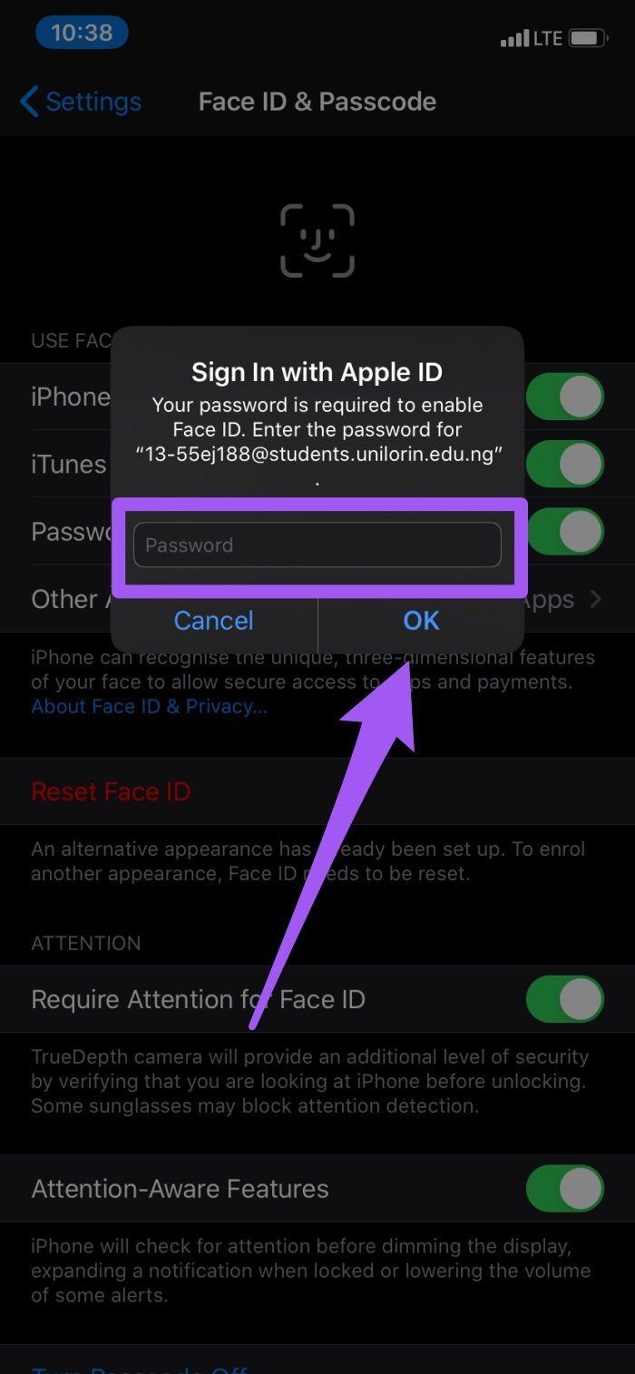 Behoben, dass die Gesichts-ID nicht mit dem App Store 03 funktioniert