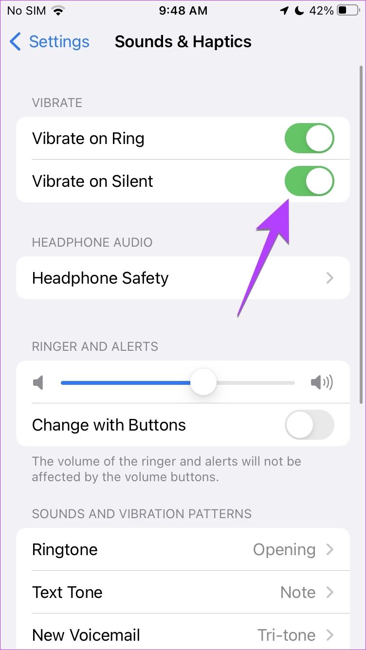 iPhone iOS 15 Sounds Aktivieren Sie den Vibrations-Stummmodus