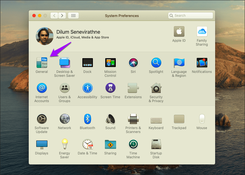 Holen Sie sich Dark Mode Everywhere Safari Mac 2